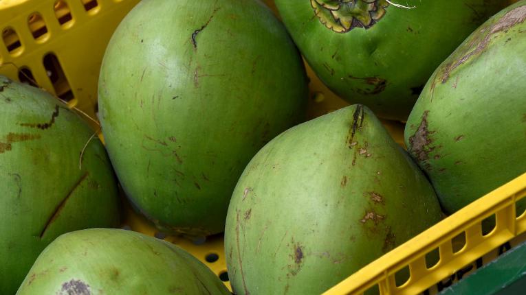 4 motivos para enaltecer o coco e seus benefícios para a saúde