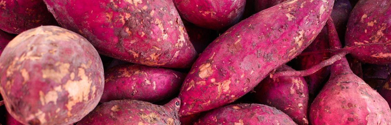 Alimentos para engordar com saúde: batata doce