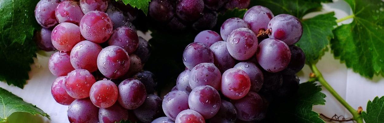 Benefícios da uva