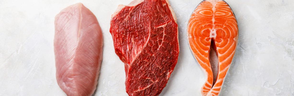 Em cima de um fundo branco, três opções de carnes cruas: um peito de peru, um bife bovino e um salmão.